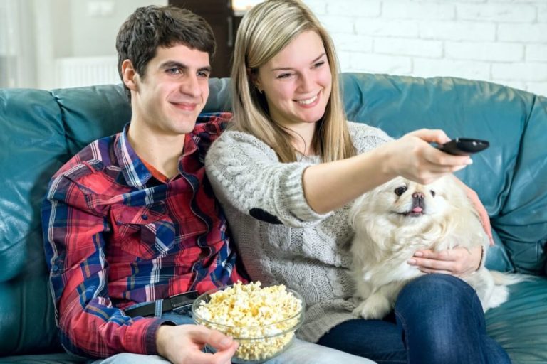 Filmes e Séries para Assistir com seu Amigo Peludo!