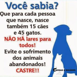 Evite Sofrimentos de Nossos Animais