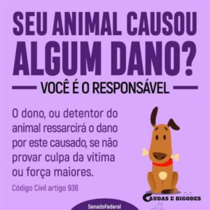 Dica: Se é o responsável arque com os danos!