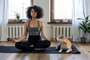 meditação guiada com animais