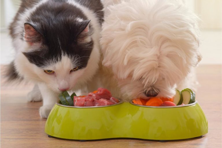 Alimentação Natural para Pets