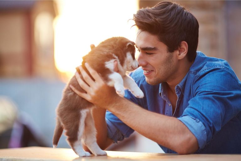 Terapia com Animais de Estimação