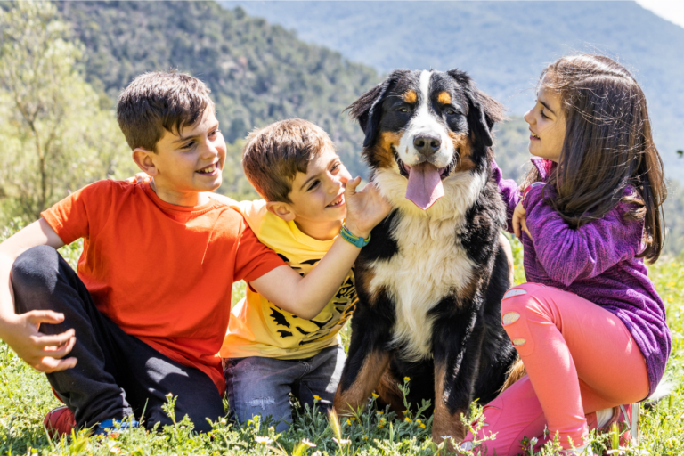 Animais de Estimação no Desenvolvimento Infantil