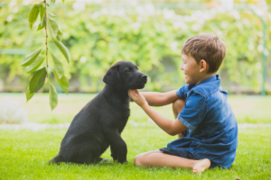 Ensine Seu Filho a Cuidar dos Animais