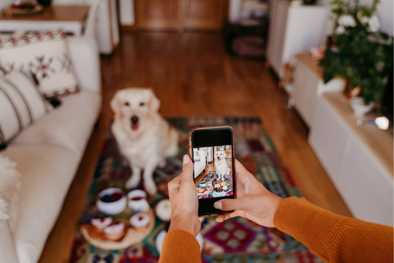 Os Benefícios Terapêuticos da Fotografia dos Pets