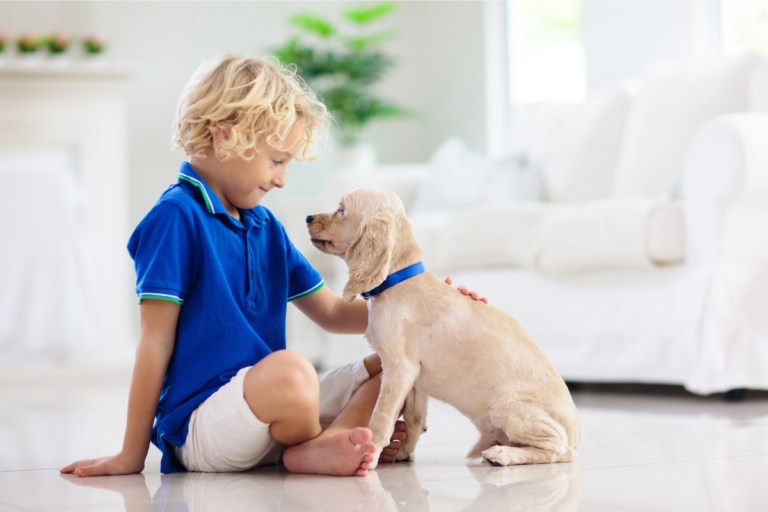 Como Cães Podem Ajudar Crianças em Dificuldades