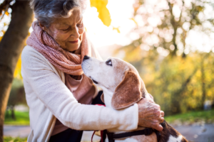 Os Benefícios Terapêuticos dos Animais de Estimação