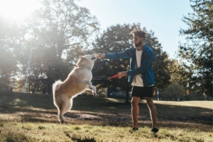 A Psicologia por Trás do Adestramento Positivo