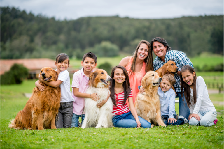 Como Escolher o Cão Ideal para Sua Família