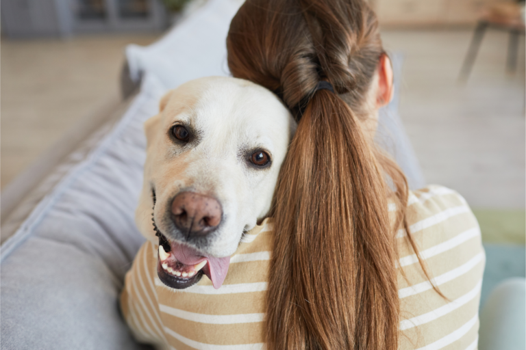 Curiosidades Sobre os Cachorros