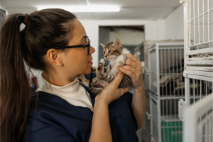 Adoção de animais: onde e como adotar