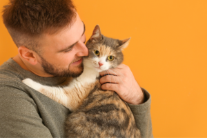 Como socializar cães e gatos com outros animais