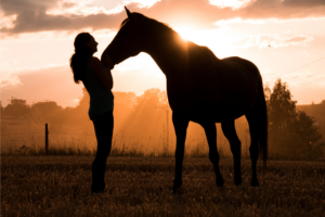 Como cuidar de um cavalo