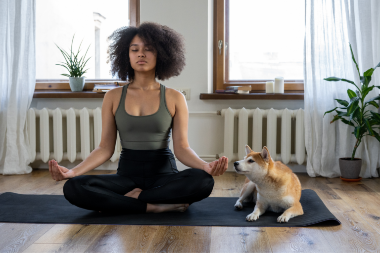 Meditação e controle do estresse dos pets