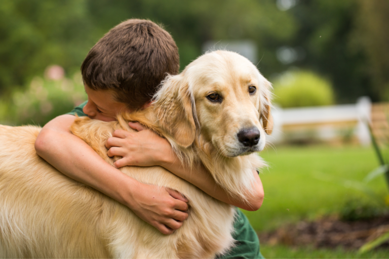 Raças de pets mais indicadas para crianças