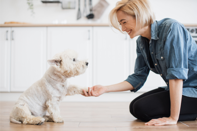 Como Adestrar Seu Cachorro em Espaços Pequenos