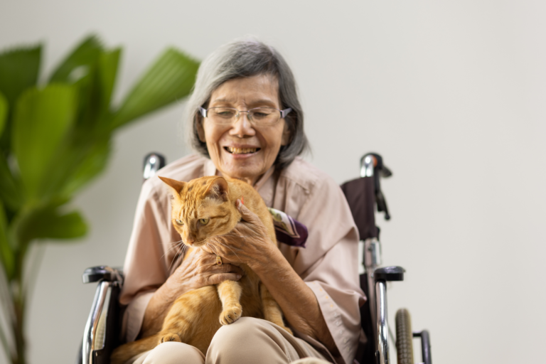 Como os animais melhoram a saúde mental
