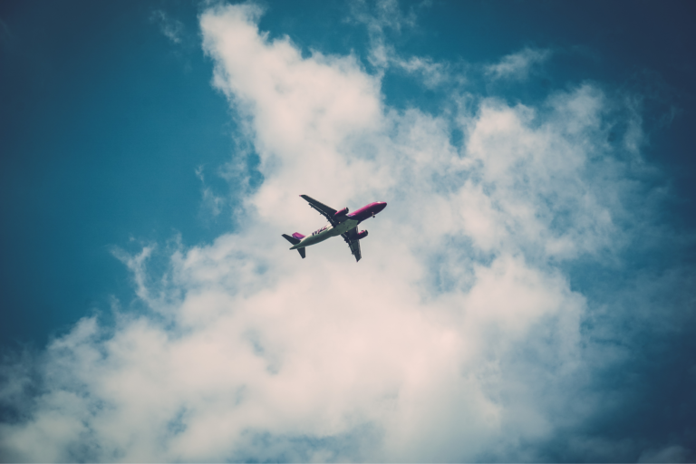 Dicas para viajar de avião com pets