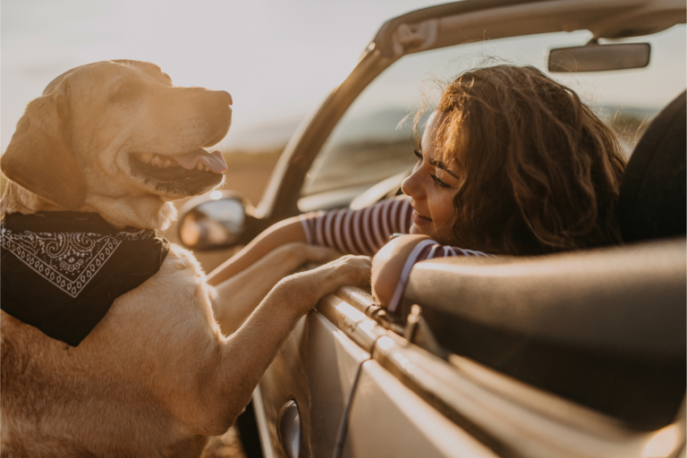 Os animais têm consciência?