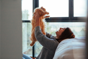 Sinais de que seu gato está feliz e saudável