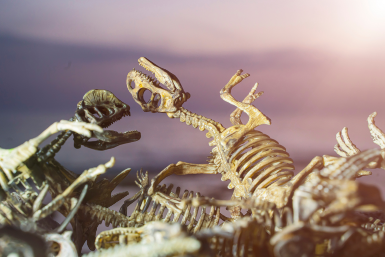 Espécies extintas que o mundo perdeu