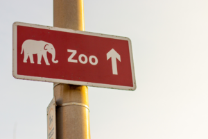 Zoológico com mais animais raros do Brasil