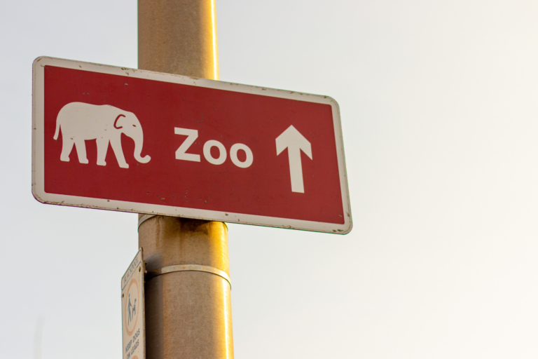 Zoológico com mais animais raros do Brasil