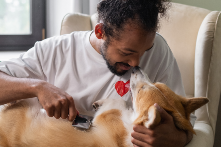 Como cuidar de um cachorro