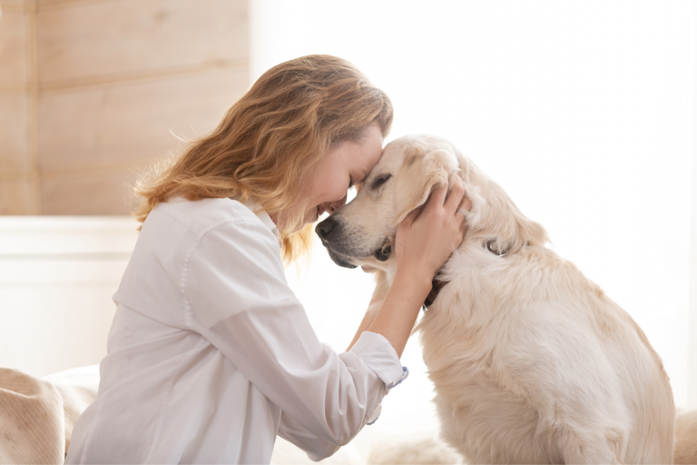 Como fazer um plano de saúde para o seu pet