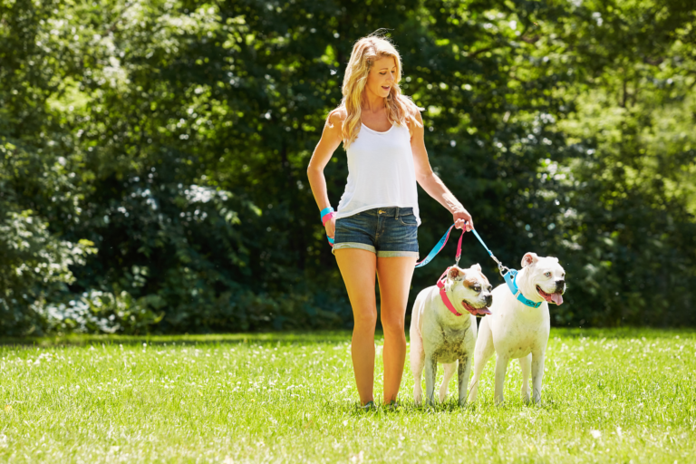 Exercício que você pode fazer com seu doguinho
