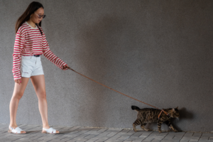Animais e desenvolvimento emocional na adolescência